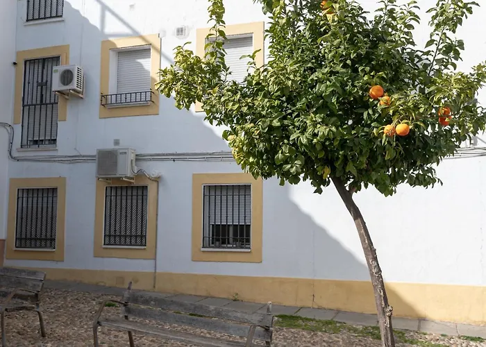 Nayber Gavia - Nuevo Y Centrico Apartamento En Cordoba